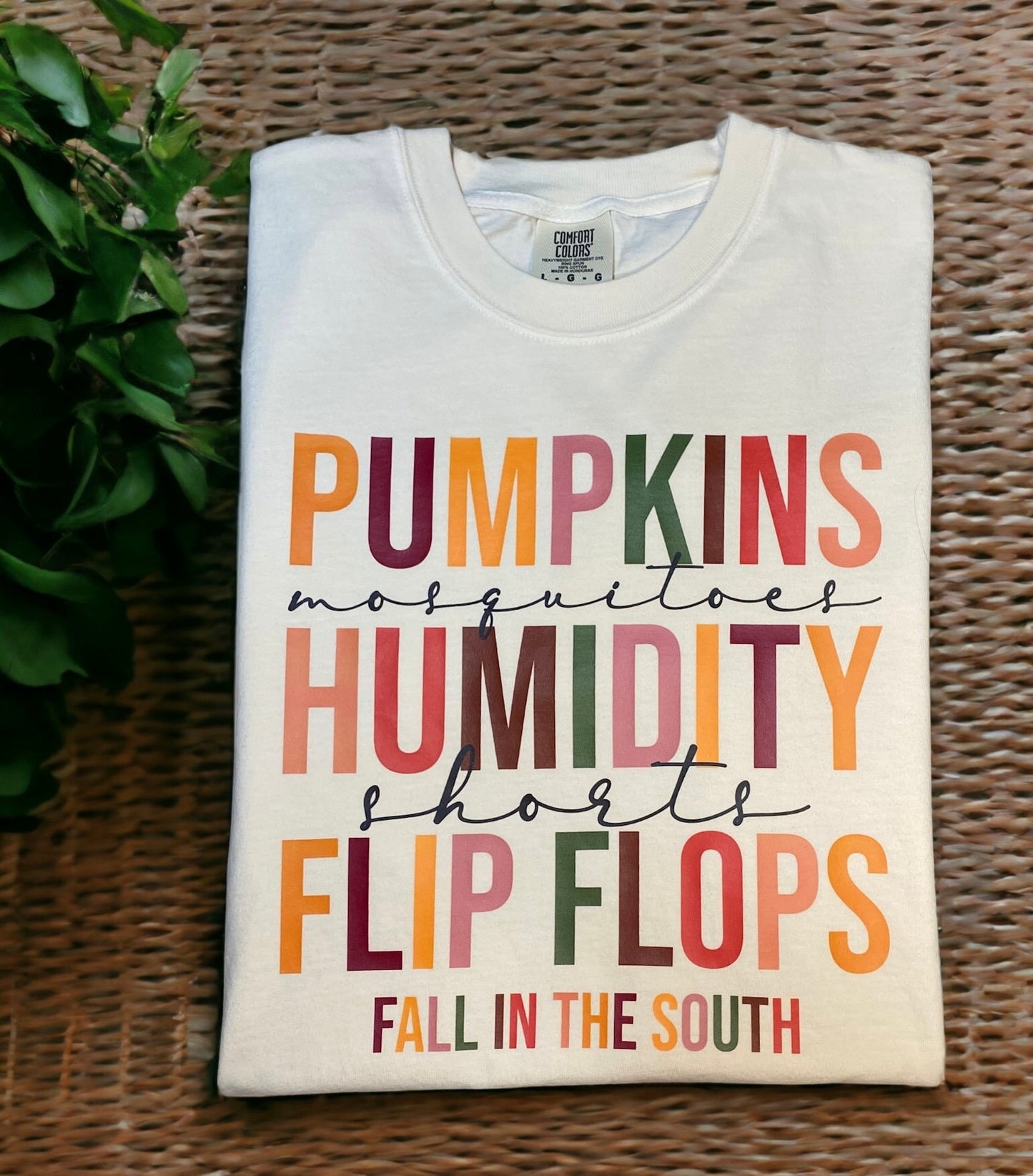 Fall in the SOUTH, pumpkins and humidity T-Shirt