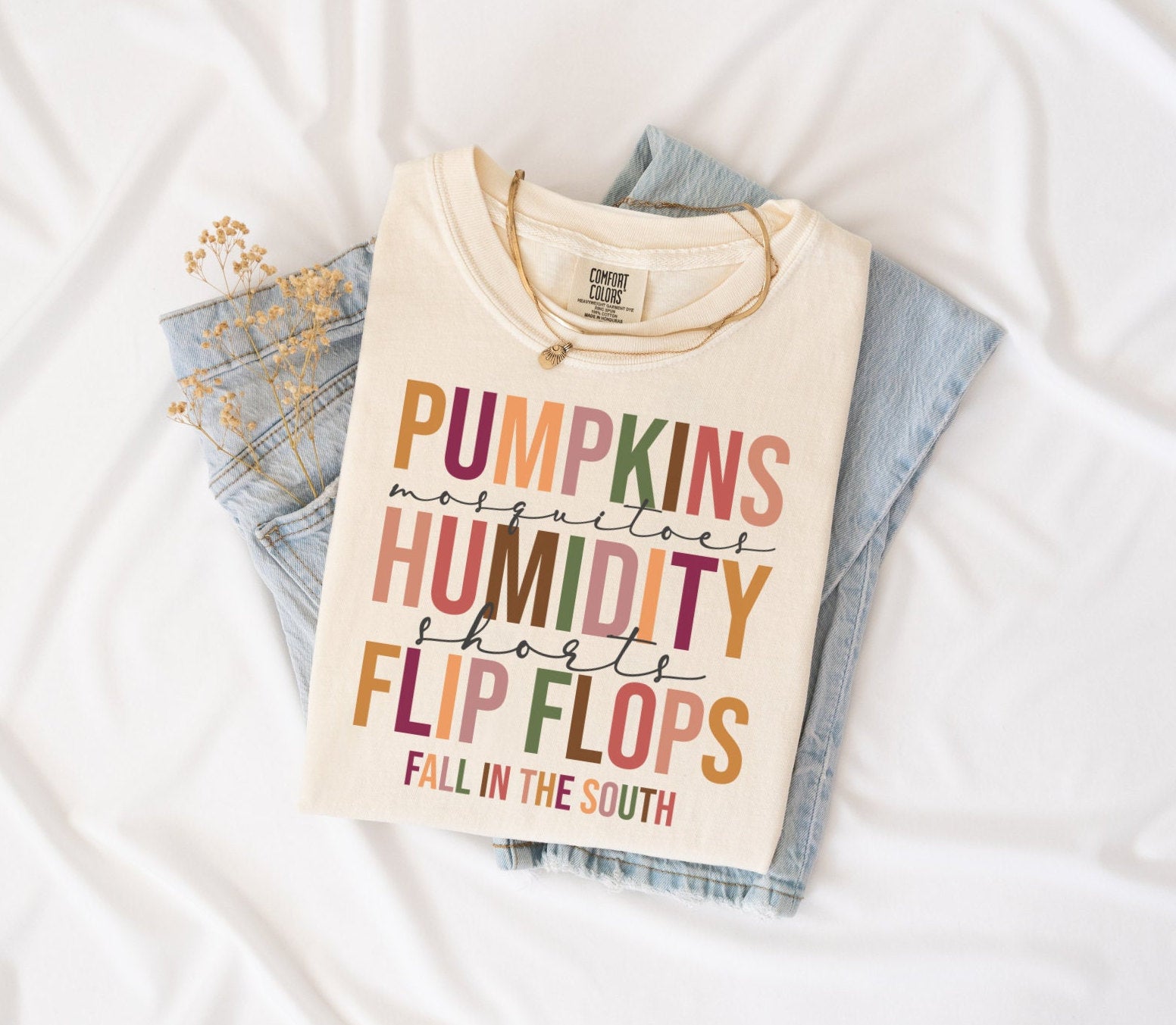 Fall in the SOUTH, pumpkins and humidity T-Shirt